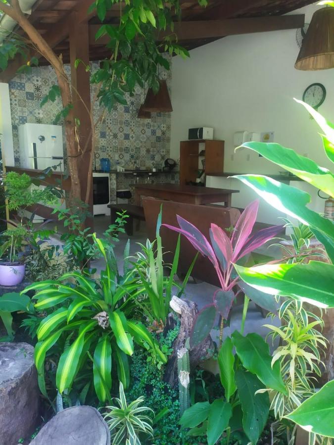 Arua Observacao De Vida Silvestre Praia do Forte Εξωτερικό φωτογραφία