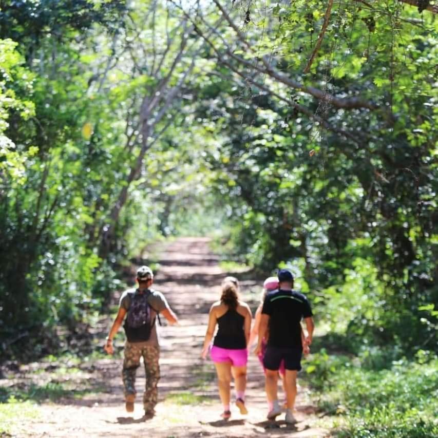 Arua Observacao De Vida Silvestre Praia do Forte Εξωτερικό φωτογραφία